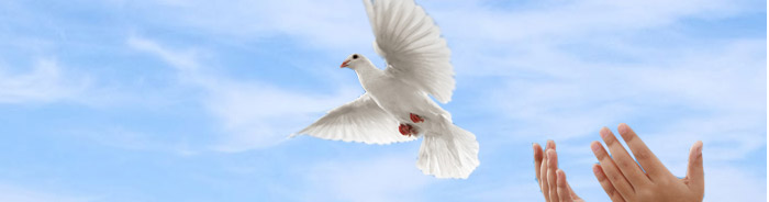 Dove Release at Storke Funeral Home
